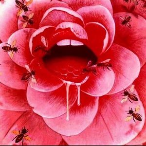 Meet your Posher, Ajai